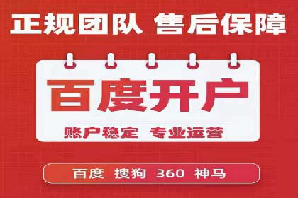 某电商平台的SEM竞价专员成功案例分享